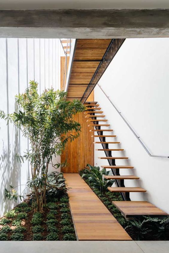 plantas para jardim de inverno