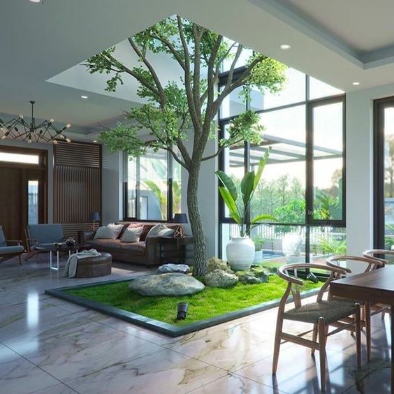 plantas para jardim de inverno