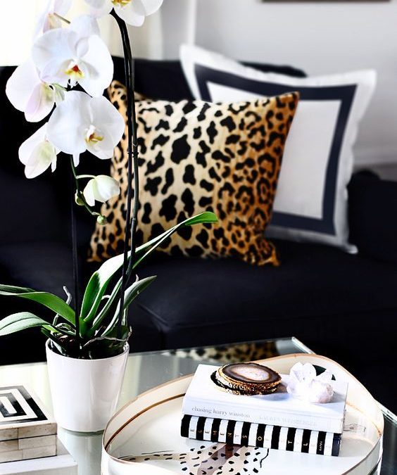 Animal print na decoração: aprenda como usar essa tendência na sua casa
